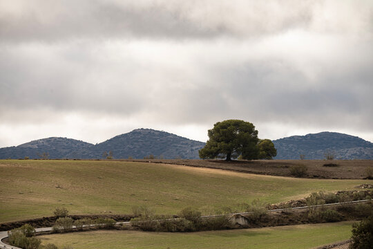 Rolling agricultural hills with crop patterns in Granada Spain