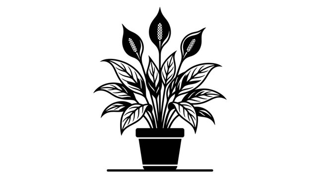 Peace Lily Plant Silhouette in Pot Vector Graphic