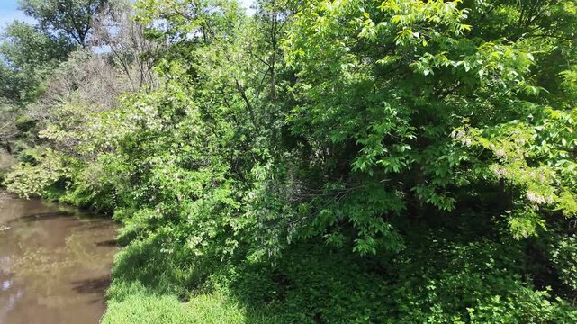 Spring Landscape near Pancharevo lake, Sofia city Region, Bulgaria