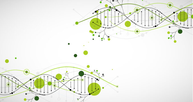 Abstract green DNA helix with digital data dots and clean background. Vector illustration
