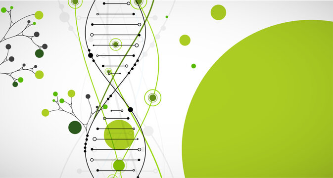 Abstract green DNA helix with digital data dots and clean background. Vector illustration