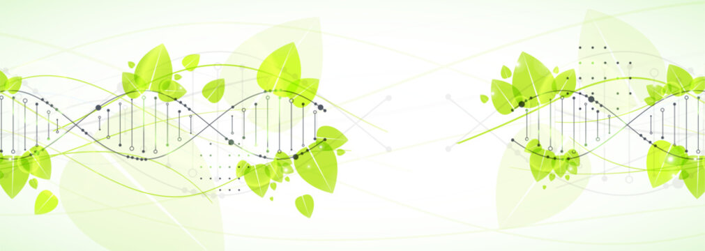 Abstract green eco DNA helix with digital plexus network and organic leaves. Vector illustration