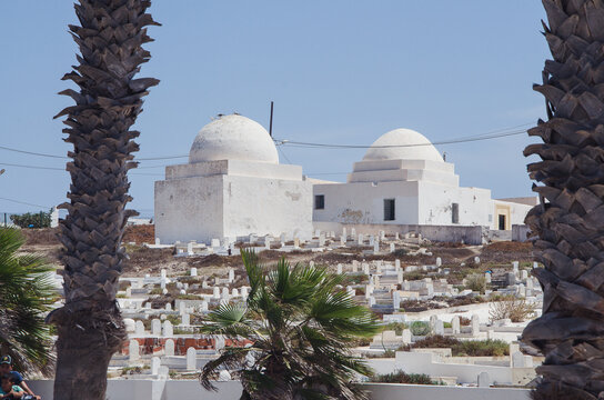 Traditional white domed marabouts in a marine cemetery framed by palm trees