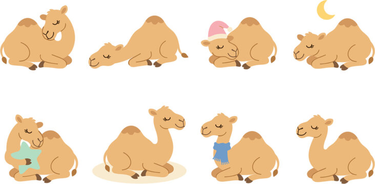 Cute cartoon camel vector character set featuring friendly dromedary animals sitting sleeping wearing a nightcap scarf and holding star