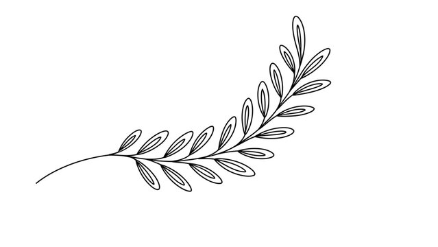 Hand drawn black line art sketch of a curved olive leaf branch with simple botanical leaves isolated on a plain white background isolated on white background, Vector, illustration