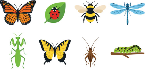 Obraz premium Detailed Insect Vector Set with Monarch Butterfly, Ladybug on Leaf, Bumblebee, Dragonfly, Praying Mantis, Swallowtail Butterfly, Cricket, and Caterpillar On Branch