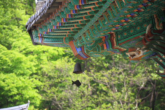 풍경,종,물고기,처마,비암사,다방리,세종시
