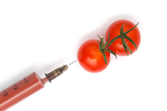 GMO vegetables. Two red tomatoes and dye injections on a white background.
