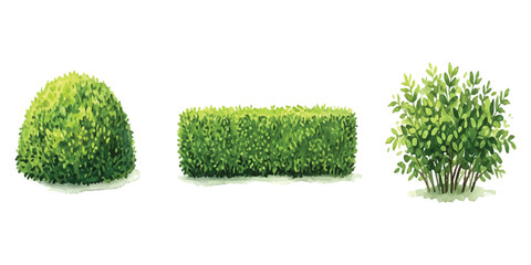 Set of green garden bushes and trimmed hedge plants for landscape design ©  creative  marlia