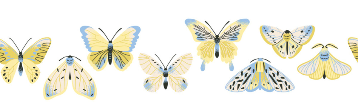 Summer themed flat style border with bright blue and yellow butterflies. Hand-drawn illustration in a funky style.