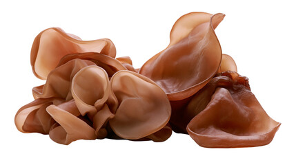 Wood Ear Mushrooms Cluster Brown Jelly Fungus © Asmud
