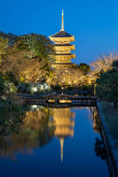 연못,돌다리,벚나무,오층목탑,도지(東寺),교토,일본
