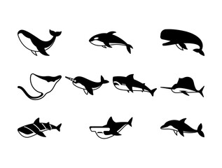 Large Sea Animal Silhouette style, collection of whales, sharks, dolphin, manta ray, narwhal and marlin icons, perfect for marine wildlife, ocean, aquarium and nature designs. © RAVIAN