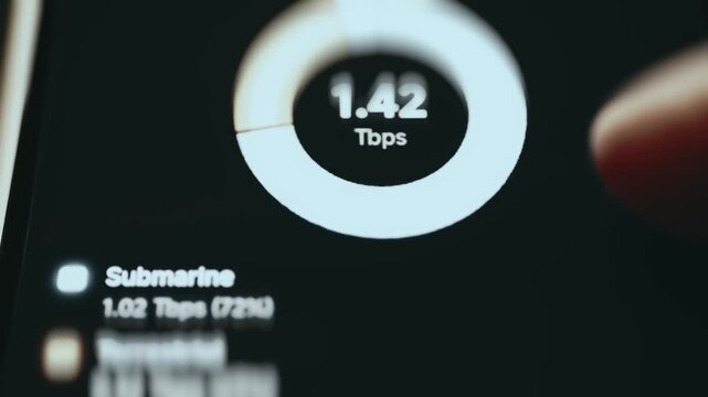 Traffic By Cable Type Donut With Total Terabit Throughput In The Centre