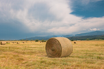 hay bales in the field © Edi