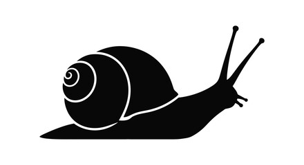 Black snail silhouette with white outline against a white background silhouette © Roja