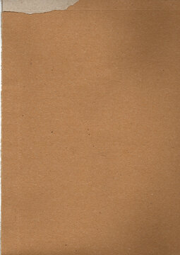 Brown cardboard sheet with ripped edge detail at top left corner