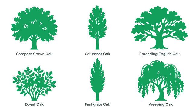 Assortment of green tree silhouettes