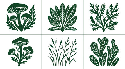 Fototapeta premium Botanical elements collection flat design
