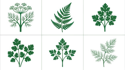 Botanical herb leaf illustrations collection © BudiSantoso