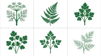 Botanical herb leaf illustrations collection © BudiSantoso
