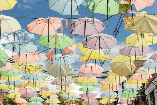 A large number of colorful umbrellas hanging in the air. The vibrant hues stand out against a clean, bright blue sky, creating a striking and cheerful scene