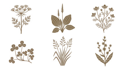 Botanical illustrations set decorative elements © BudiSantoso