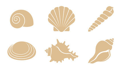 Collection of marine shells © Akun