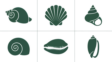 Collection of sea shell icons © Akun