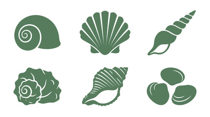 Collection of seashell icons © Akun