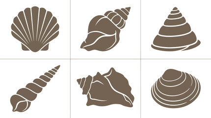 Collection of seashell icons © Akun