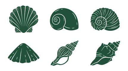 Collection of seashell illustrations © Akun
