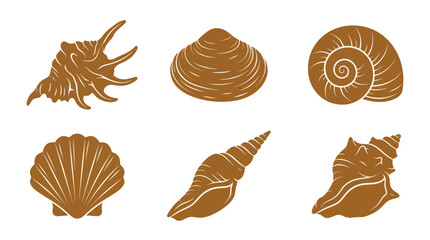 Collection of seashell illustrations © Akun