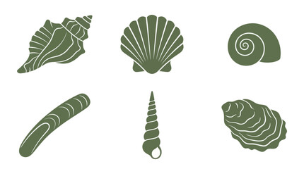 Collection of marine mollusk shells © Akun