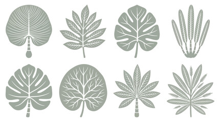 Decorative plant leaf silhouettes set © Ardilla