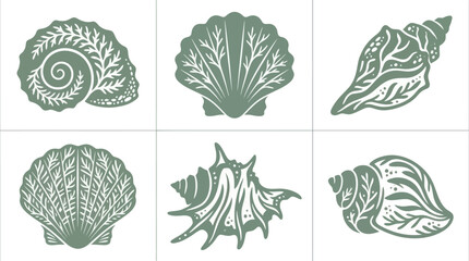 Decorative seashell collection © Ardilla