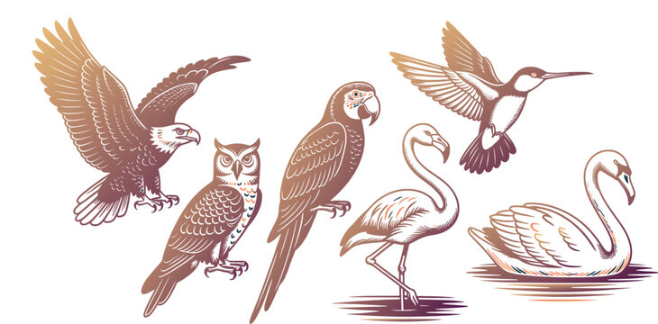 Set of hand drawn flying and standing wild birds including eagle owl parrot flamingo and swan