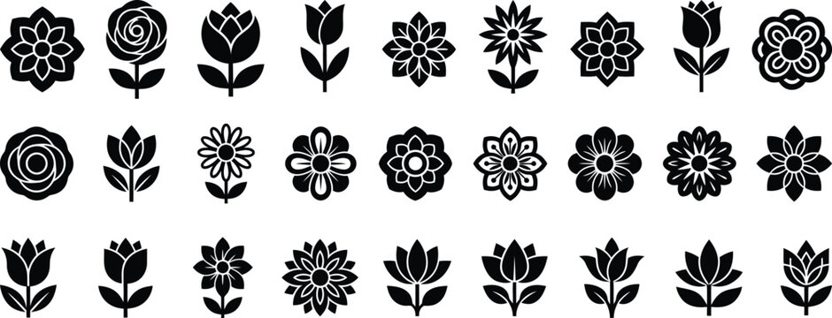 Set of black floral ornaments and swirls