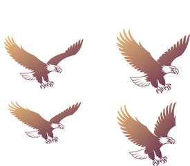 Fototapeta premium Set of four flying bald eagle illustrations showing wild birds in flight with spread wings