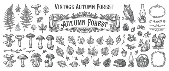 Vintage Autumn Forest Elements Collection © jambu