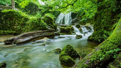 Long exposure shot of a small waterfall cascading over mossy rocks in a lush green forest. © Danan