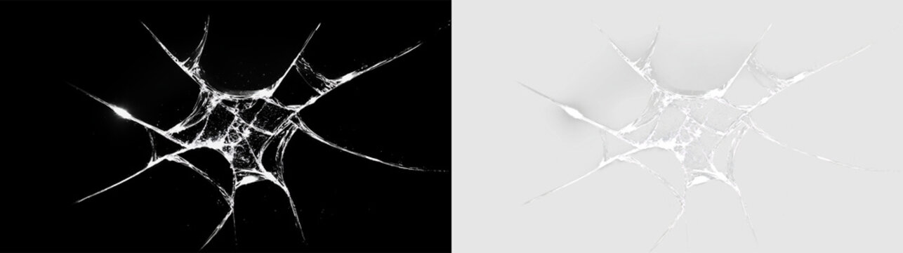 Spider web on a transparent background showing detailed structure and design