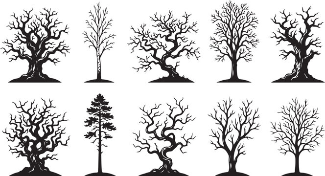 Variety of black silhouette trees collection for graphic design and nature inspired projects