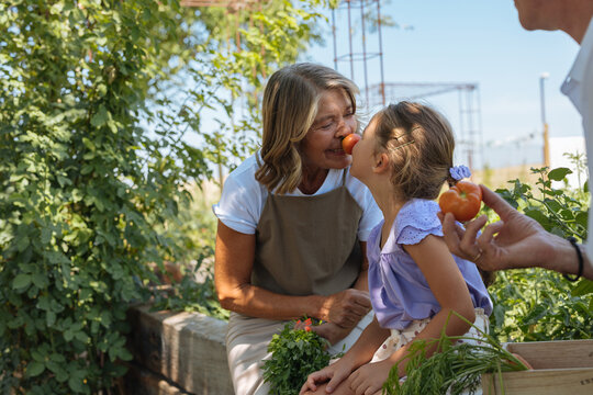 Grandmother and child having fun with fresh tomato