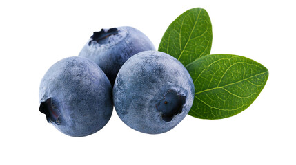 Three ripe blueberries with green leaves © Uxia