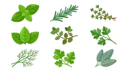 Assorted fresh herb sprigs collection © Curva