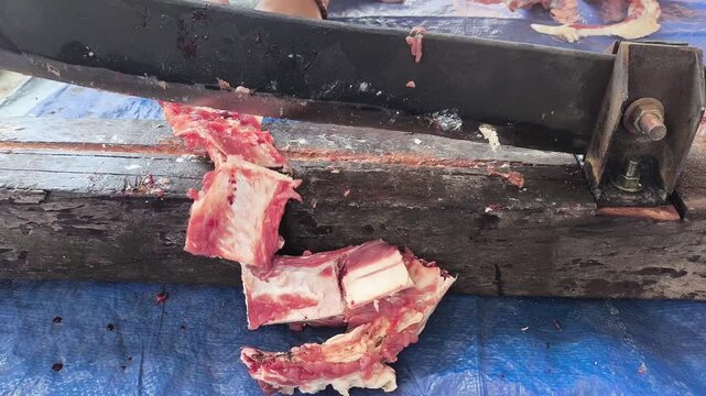 Hands cut meat with a heavy meat cutter. Fleshly bones lie scattered on a blue tarp. Tool is heavy and metal, designed for cutting. Work surface is stained and worn from use. No emotion shown
