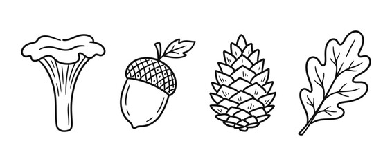 Hand-drawn forest elements: mushroom, acorn, pine cone, leaf © jono