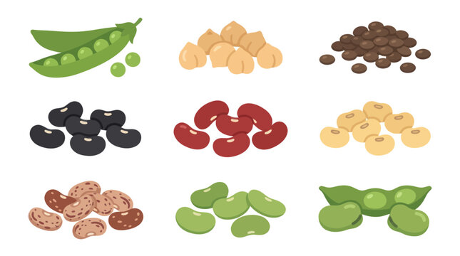 Assorted legumes and pods collection