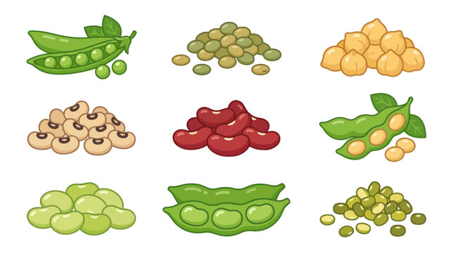 Assorted legumes and pulses collection
